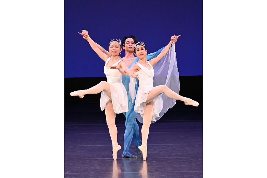 愛らしい動物のペン画中心に 伊東屋珈琲2号店で唐澤さん個展 | 桐生