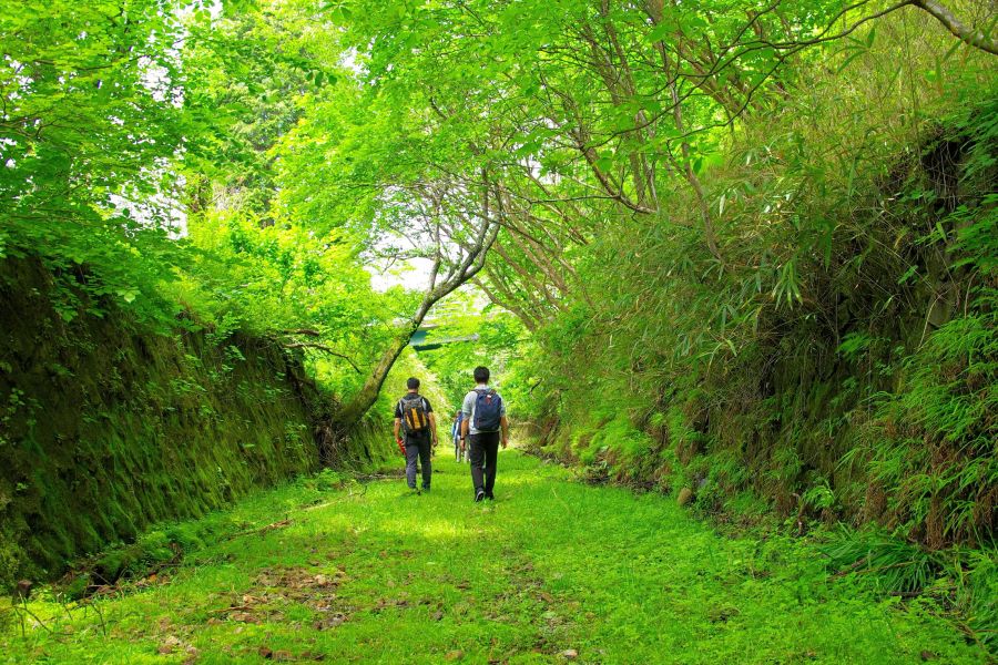 来月にわ鐵廃線跡ツアー 新区間は〝ジブリの世界〟？ 琴平
