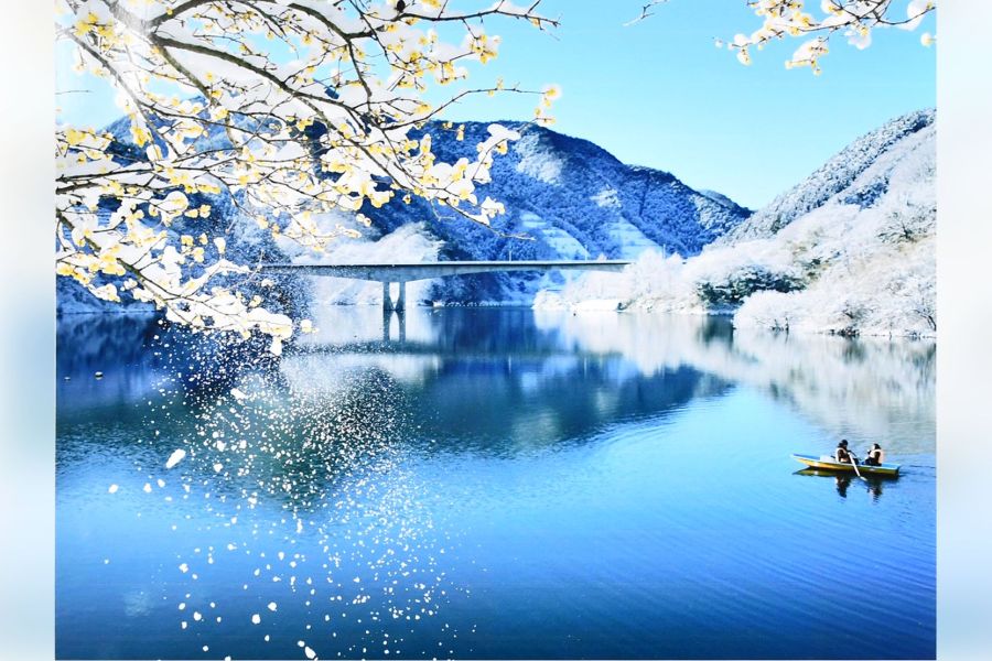 第29回梅田の一番四季の写真展 大賞に金井さん「雪どけの朝」 あす