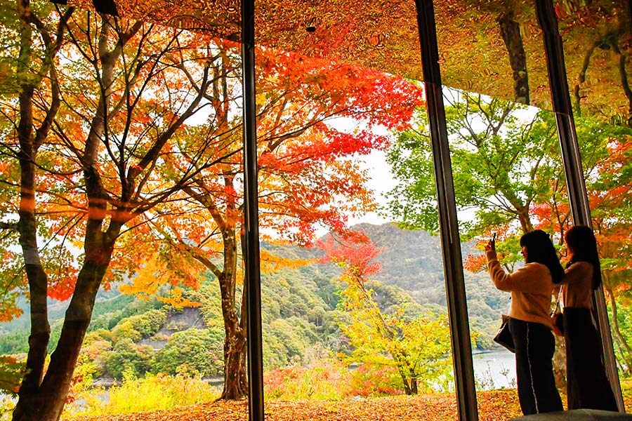 JKworks「紅葉」 秋の深山、紅葉深まる草木湖周辺や富弘美術館で | 桐生タイムス