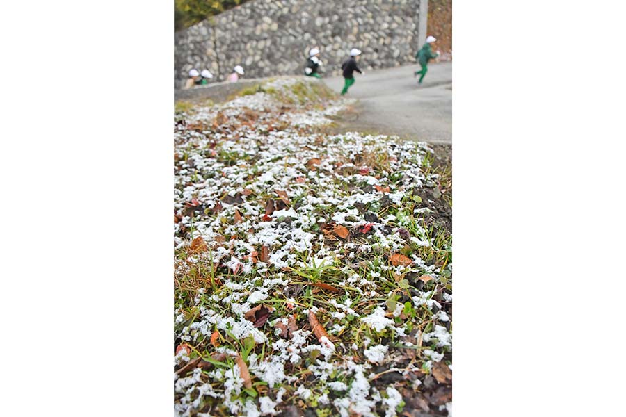 愛らしい動物のペン画中心に 伊東屋珈琲2号店で唐澤さん個展 | 桐生