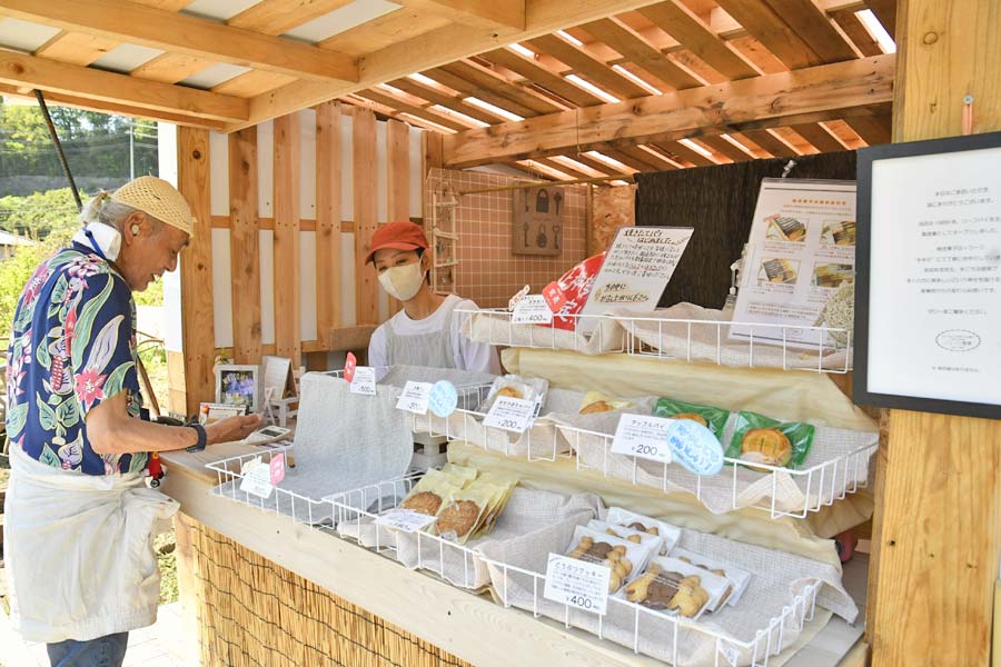 県の天然記念物、レッドリスト「絶滅危惧ⅠB」ヒメギフチョウの幼虫