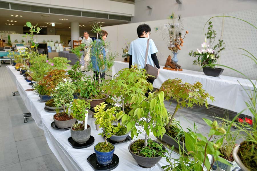 県重文のレプリカ展示 所蔵の酒井抱一「秋草花卉図」と谷文晁「孔雀