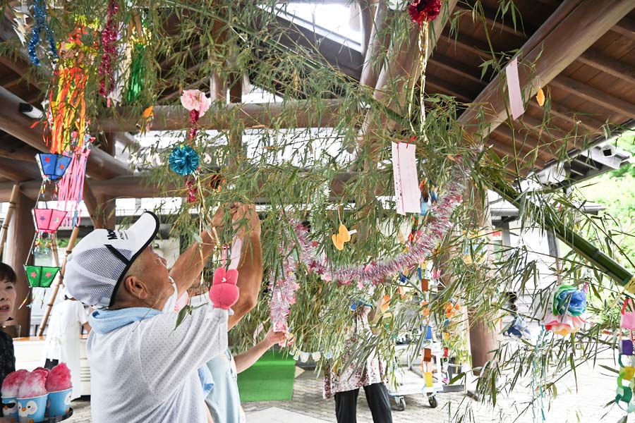 県重文のレプリカ展示 所蔵の酒井抱一「秋草花卉図」と谷文晁「孔雀